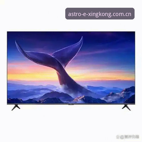 赛场之外的真实人生——从卢卡库的眼泪看版本集智APP带来的沉浸式赛事体验